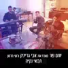 Yotam Pur - תבואי נקיה (feat. אבי גרייניק & Roei Hermon) - Single